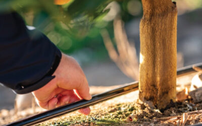 Subvencions per a Comunitats de Regants