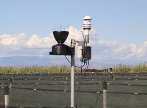 AGROBEE SENS METEO, SENSORES, AGRICULTURA DE PRECISION, SENSORS METEOROLOGIC, BALANCE HIDRIC, VARIABLES METEOROLOGICS