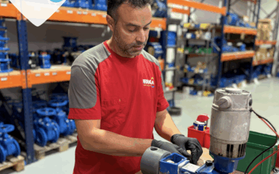 REPARACIÓ DE BOMBES INJECTORES