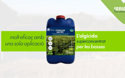 Control d’algues i vegetació aquàtica en basses de reg