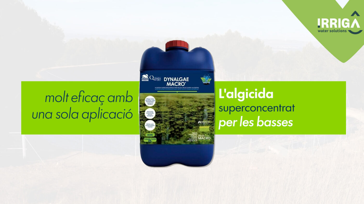 control d'algues, manteniment de basses de reg, alguicida,