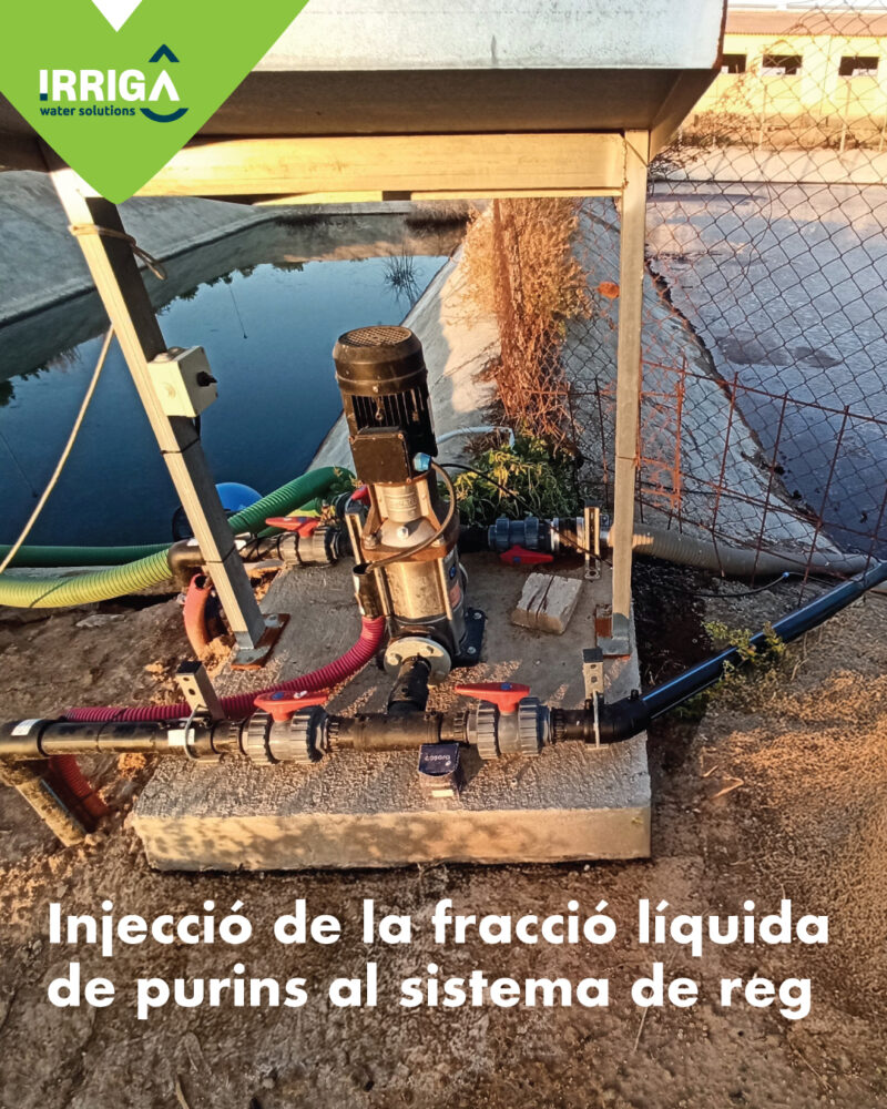 Injecció de la fracció líquida de purins al sistema de reg, purins al reg, purins fertilitzants, purines como nutrientes, del puri al cultiu, per purin al cultivo