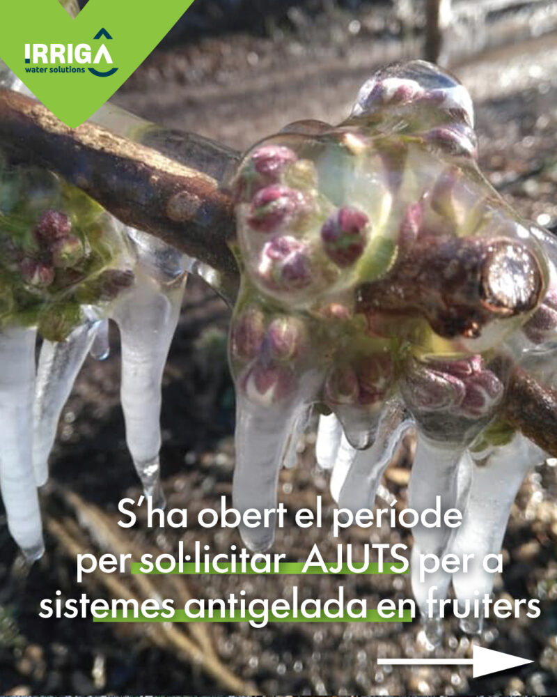 AJUTS-ANTIGEL ajuts per a sistemes antigelada, Ayudas para sistemas antihelada